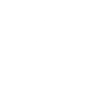 Orchid Toys logo white orchid with white text