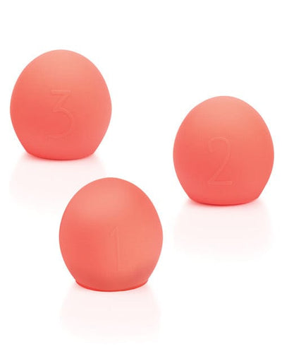 We-Vibe We-Vibe Bloom Coral Accessories Kit More