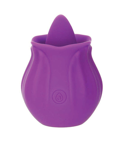 B.M.S. Enterprises M'Lady Flickering Tongue & Vibrating Clitoral Stimulator - Purple Vibrators