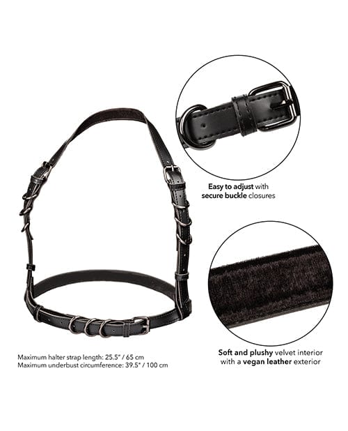 California Exotic Novelties Euphoria Collection Halter Buckle Harness Kink &amp; BDSM