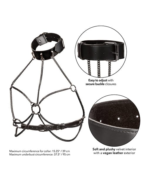 California Exotic Novelties Euphoria Collection Multi Chain Collar Harness Kink &amp; BDSM