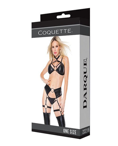Coquette International Darque Wet Look Striped Strappy Halter Top & Crotchless Garter Panty Black Os Lingerie & Costumes