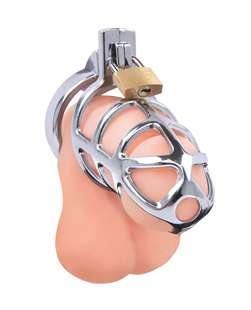 Electric Eel INC Lockmaster 3.75" Stainless Steel Prisoner Cock Cage - Silver Kink & BDSM