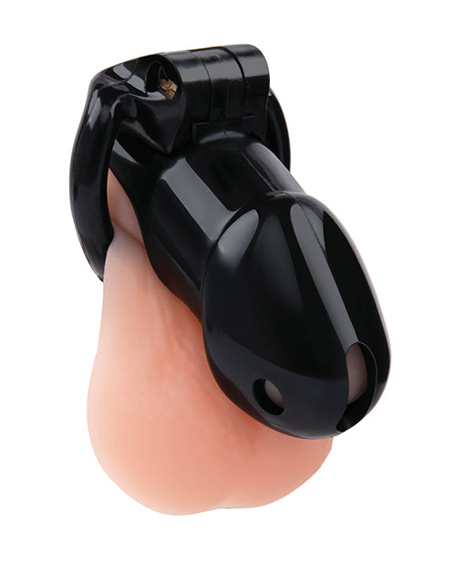 Electric Eel INC Lockmaster 4" Resin Cock Cage - Black Kink &amp; BDSM