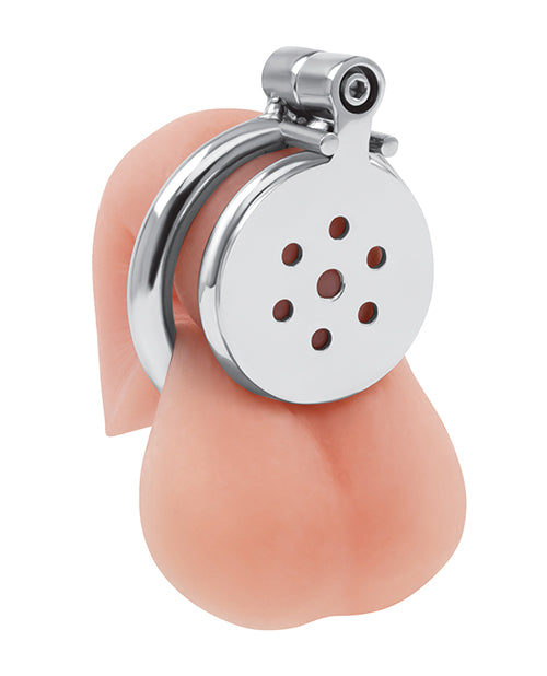 Electric Eel INC Lockmaster Stainless Steel Flat Inverted Chastity Cage - Silver Kink &amp; BDSM