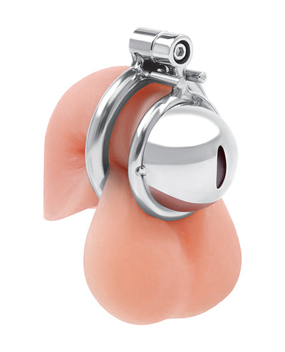 Electric Eel INC Lockmaster Stainless Steel Inverted Micro Chastity Cage - Silver Kink & BDSM