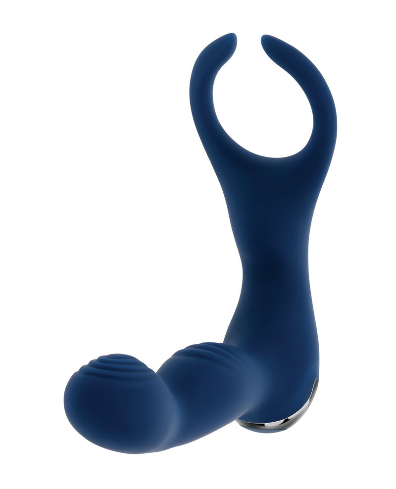 Evolved Novelties INC Zero Tolerance By All Means Prostate Vibrator w/Remote Control - Blue Anal Toys