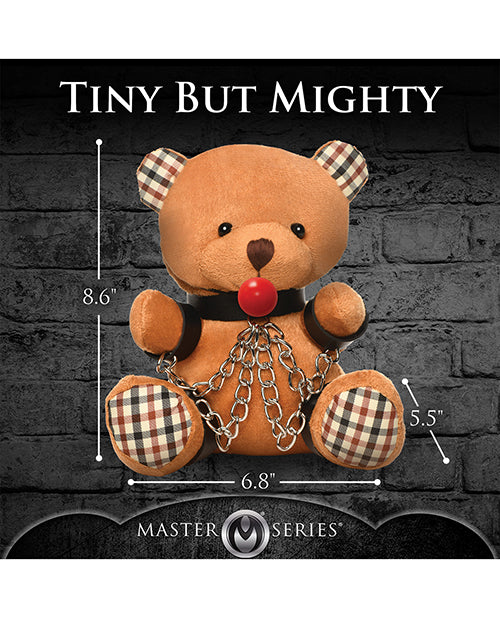 Master Series Master Series Gagged Teddy Bear Plush Novelties