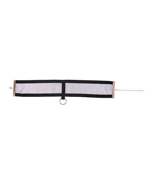 Sportsheets International Sex &amp; Mischief Sheer Day Collar Kink &amp; BDSM