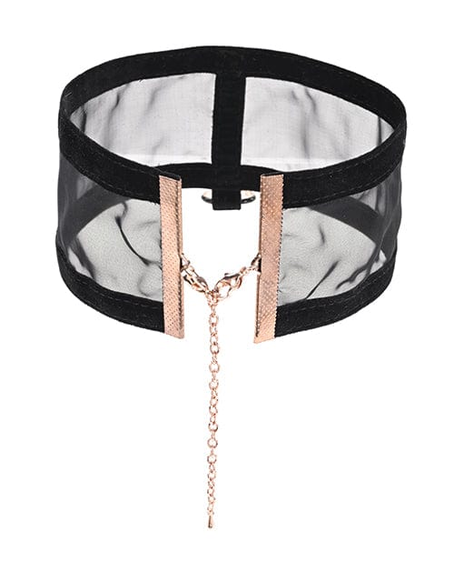Sportsheets International Sex &amp; Mischief Sheer Day Collar Kink &amp; BDSM