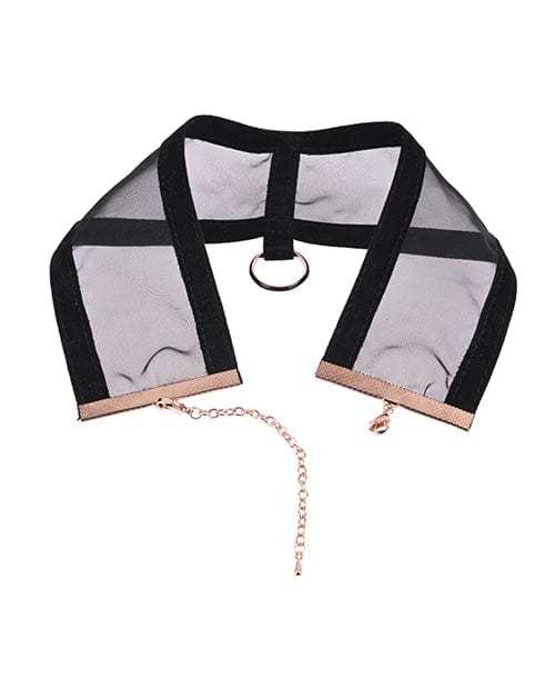 Sportsheets International Sex &amp; Mischief Sheer Day Collar Kink &amp; BDSM