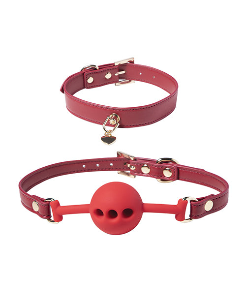 Uc Global Trade INChoney Play B Kinky Play Box Red Passion 8 pc Set Bondage Kit - Red Kink &amp; BDSM