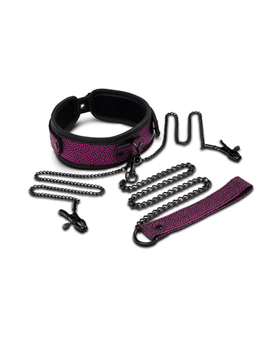 XGEN WhipSmart Dragon's Lair Collar, Leash & Nipple Clips Set Kink & BDSM