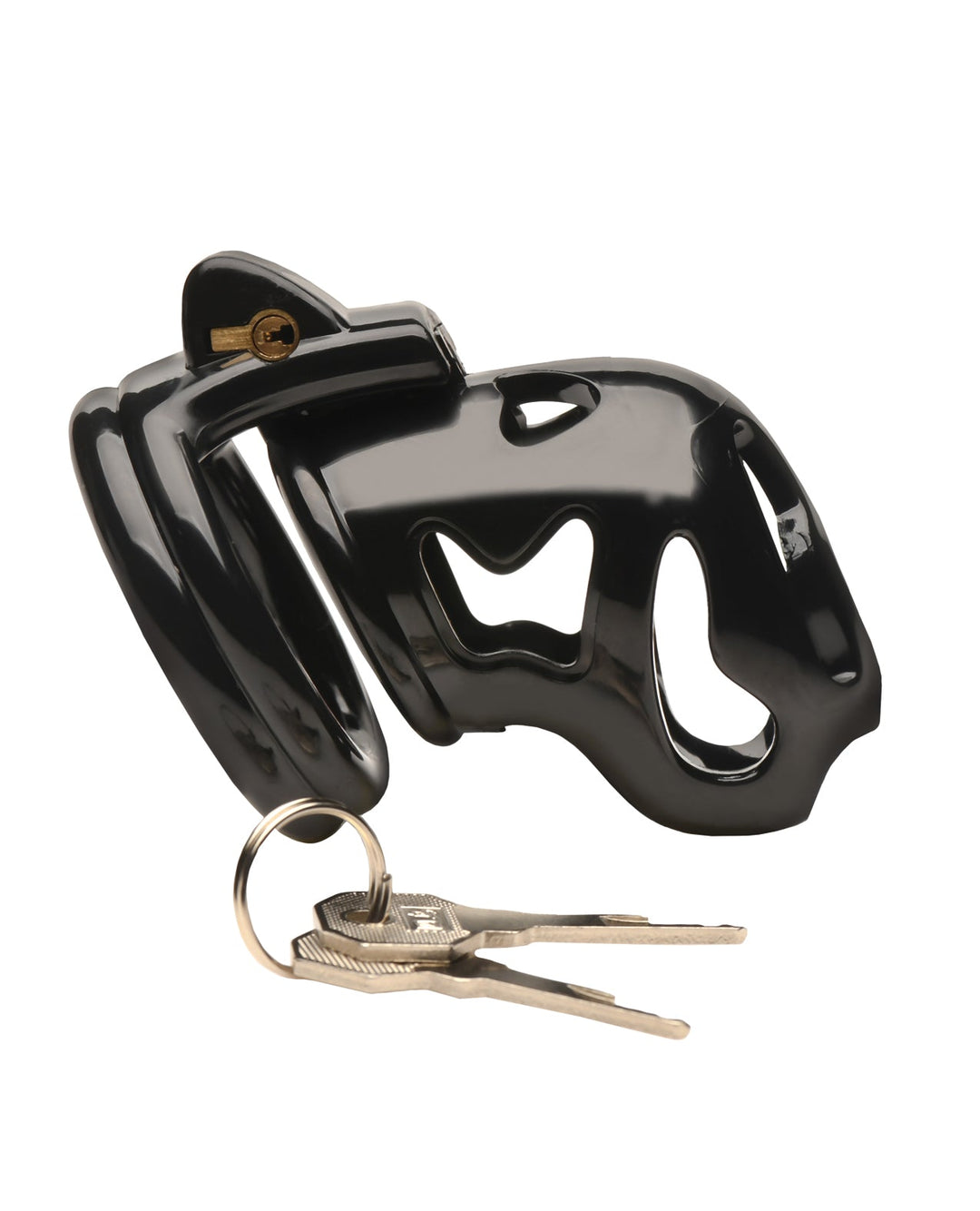 Xr LLC Master Series Hard Stop Double Ring Chastity Cage - Black Kink &amp; BDSM