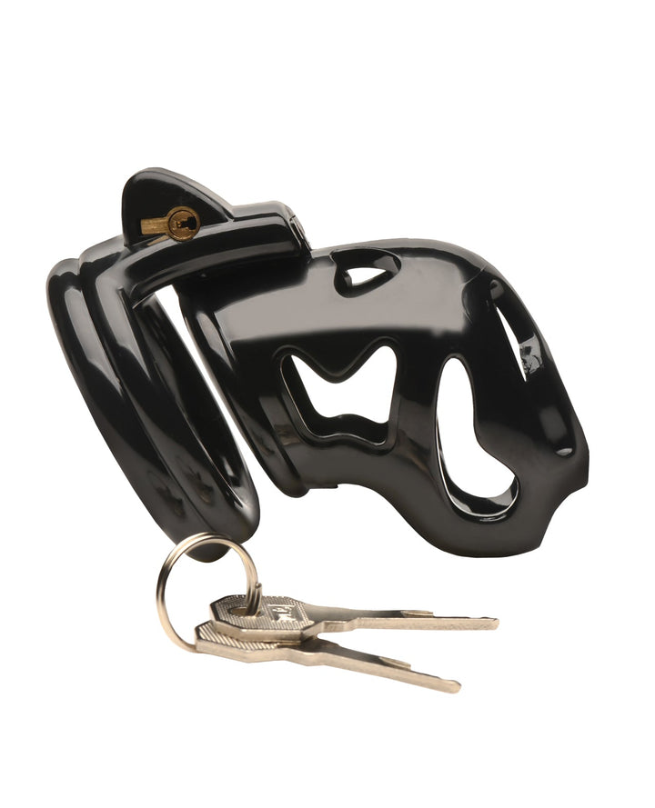 Xr LLC Master Series Hard Stop Double Ring Chastity Cage - Black Kink &amp; BDSM