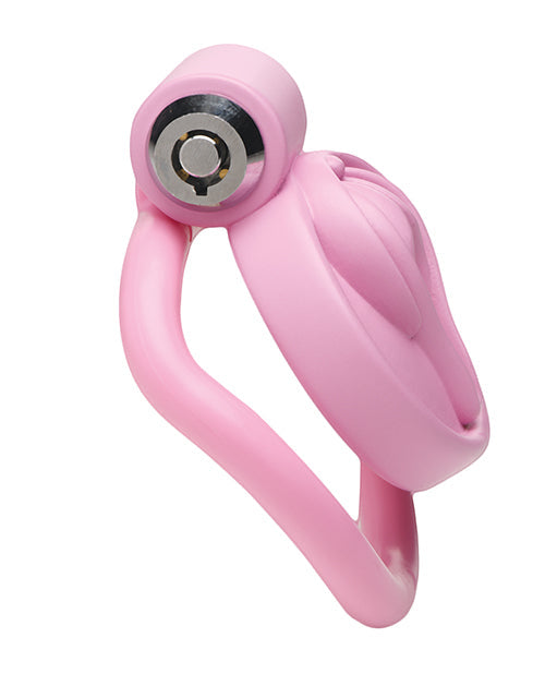 Xr LLC Master Series Pussification Vulva Locking Chastity Cage - Pink Kink &amp; BDSM