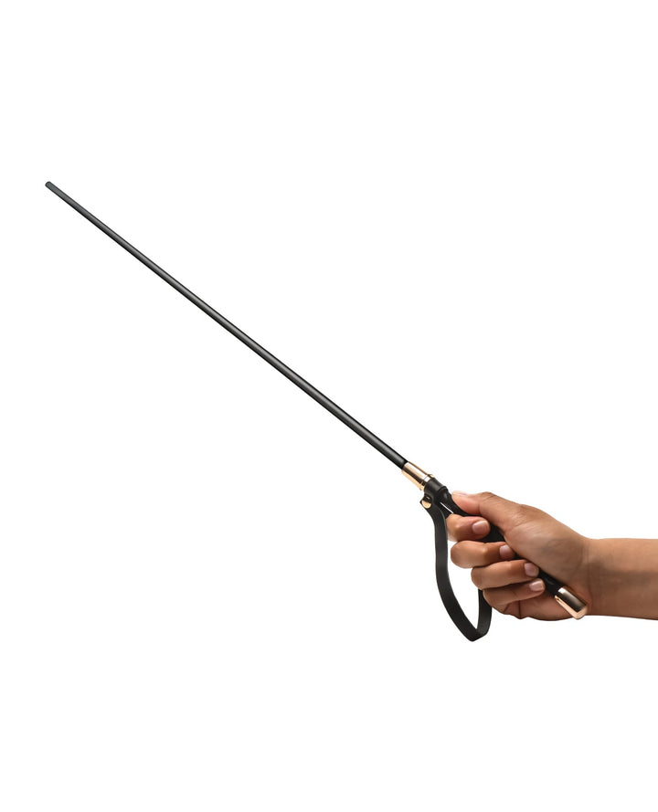 Xr LLC Master Series Sinful Impact Cane - Black/Gold Kink &amp; BDSM