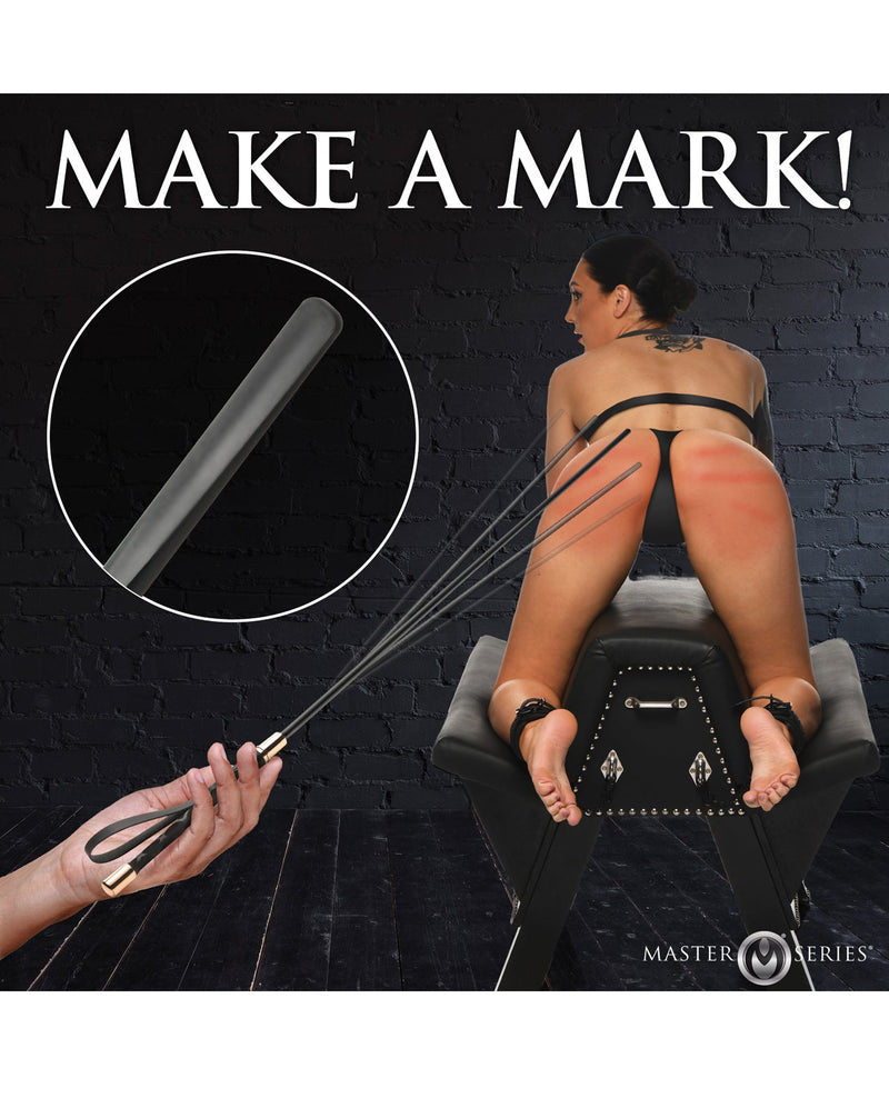 Xr LLC Master Series Sinful Impact Cane - Black/Gold Kink & BDSM