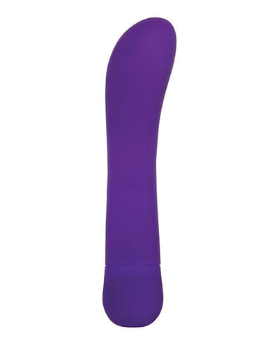 Adam & Eve Adam & Eve Eve's Orgasmic G Silicone Vibrator - Purple Vibrators