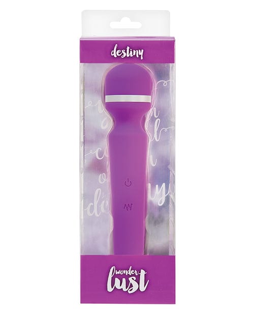 B.M.S. Enterprises Wonderlust Destiny Purple Vibrators