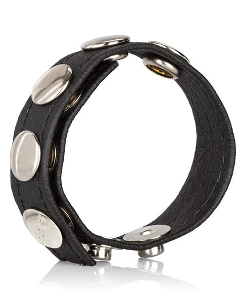 CalExotics Colt Leather C-B Strap 5 Snap Fastener - Black Dildos