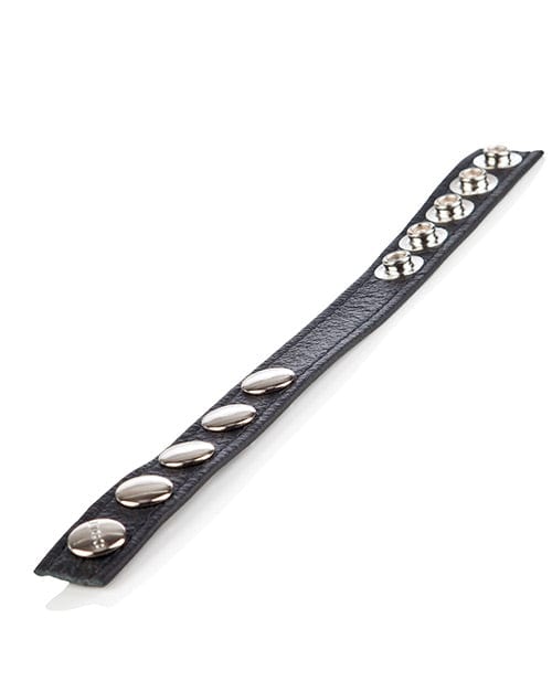 CalExotics Colt Leather C-B Strap 5 Snap Fastener - Black Dildos