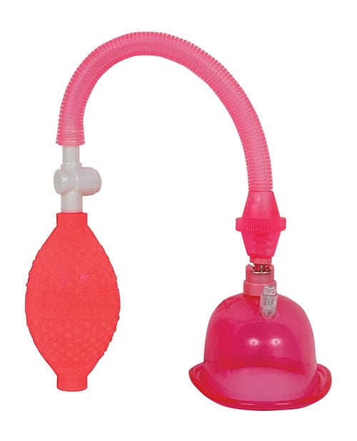 Doc Johnson In A Bag Pussy Pump - Pink Vibrators