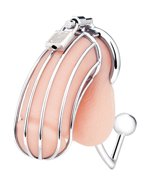 Electric Eel INC Blue Line Cock Cage W-anal Stimulator - Silver Kink &amp; BDSM