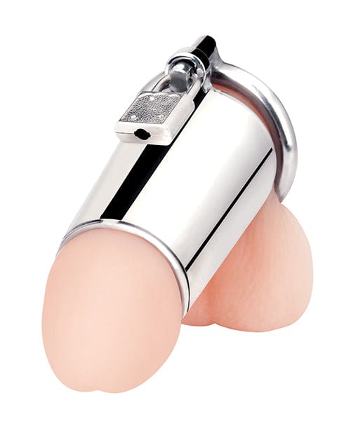 Electric Eel INC Blue Line Ultimate Cock Tease Cage - Silver Kink &amp; BDSM