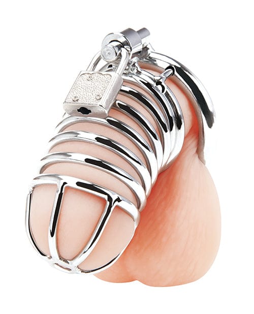 Electric Eel Blue Line Deluxe Chastity Cage - Silver Kink &amp; BDSM