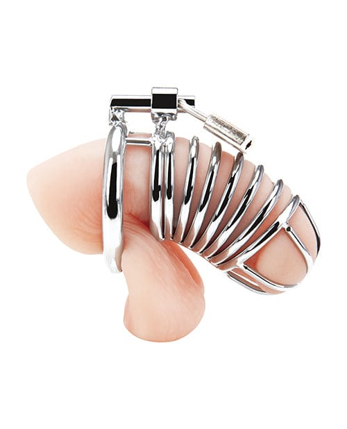 Electric Eel Blue Line Deluxe Chastity Cage - Silver Kink &amp; BDSM
