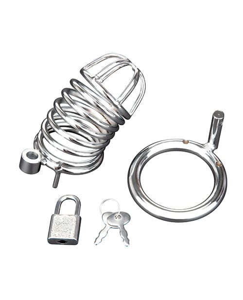 Electric Eel Blue Line Deluxe Chastity Cage - Silver Kink &amp; BDSM