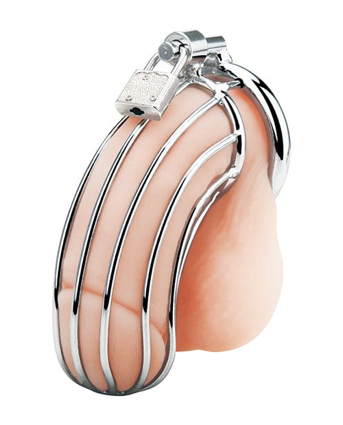 Electric Eel Blue Line Prisoner Cock Cage - Silver Kink &amp; BDSM