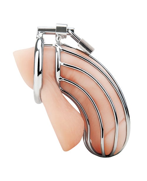 Electric Eel Blue Line Prisoner Cock Cage - Silver Kink &amp; BDSM