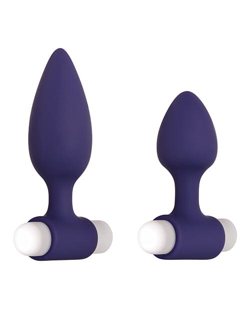 Evolved Novelties Evolved Dynamic Duo Anal Rechargeable - Purple-White Anal Toys