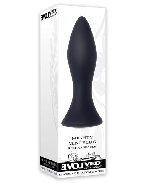Evolved Novelties Evolved Mini Butt Plug - Black Anal Toys