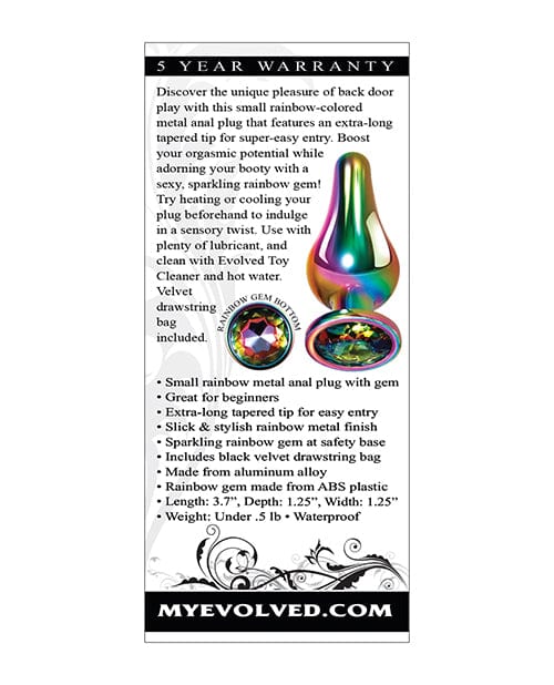 Evolved Novelties Evolved Rainbow Metal Plug Anal Toys