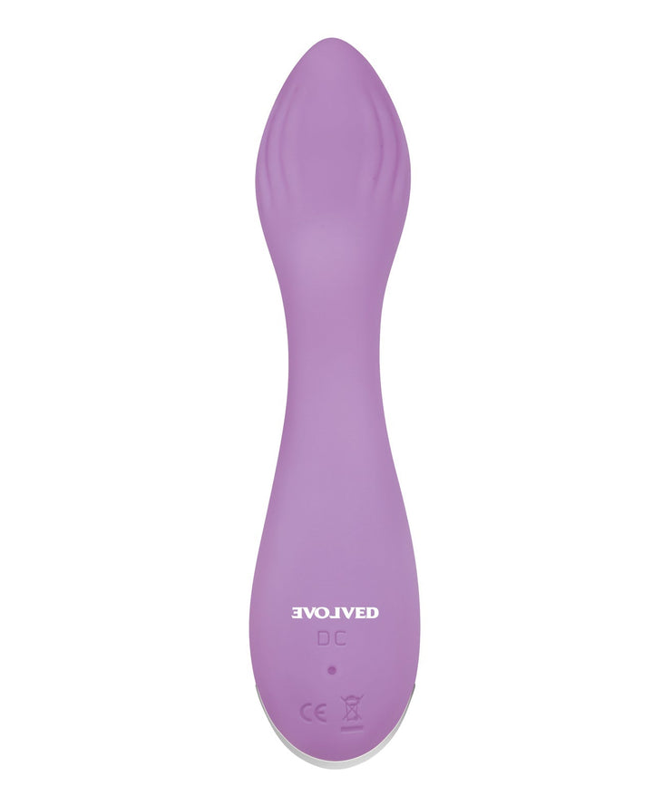 Evolved Novelties INC Evolved Lilac G Petite G Spot Vibe - Purple Vibrators