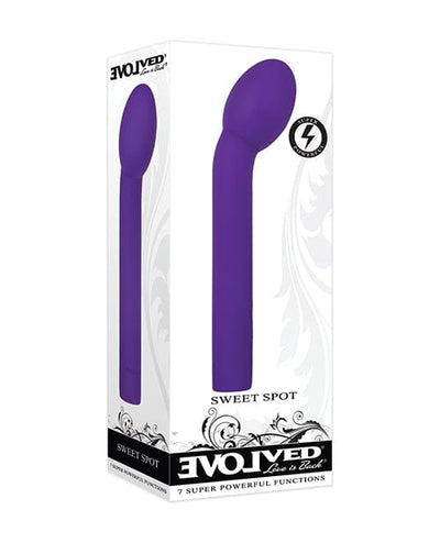 Evolved Novelties Evolved Sweet Spot - Purple Vibrators