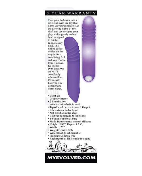 Evolved Novelties Evolved The G-rave Light Up Vibrator - Purple Vibrators