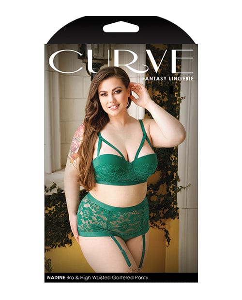 Fantasy Lingerie Curve Nadine Longline Contour Cup Bra, High Waist Panty with Removable Garters Lingerie &amp; Costumes