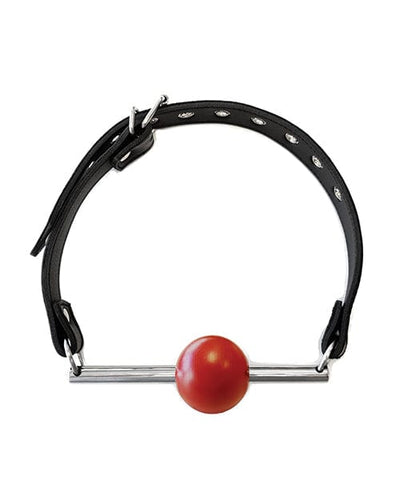 Rouge Group Ltd Rouge Leather Ball Gag With Stainless Steel Rod And Removable Ball - Black With Red Kink & BDSM