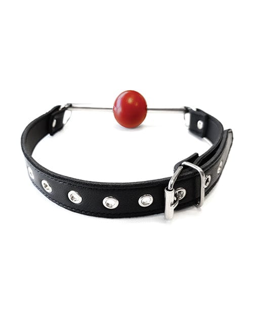 Rouge Group Ltd Rouge Leather Ball Gag With Stainless Steel Rod And Removable Ball - Black With Red Kink &amp; BDSM
