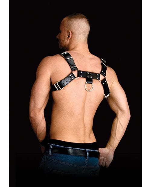Shots America Shots Ouch Costas Solid Structure 2 - Black Kink &amp; BDSM