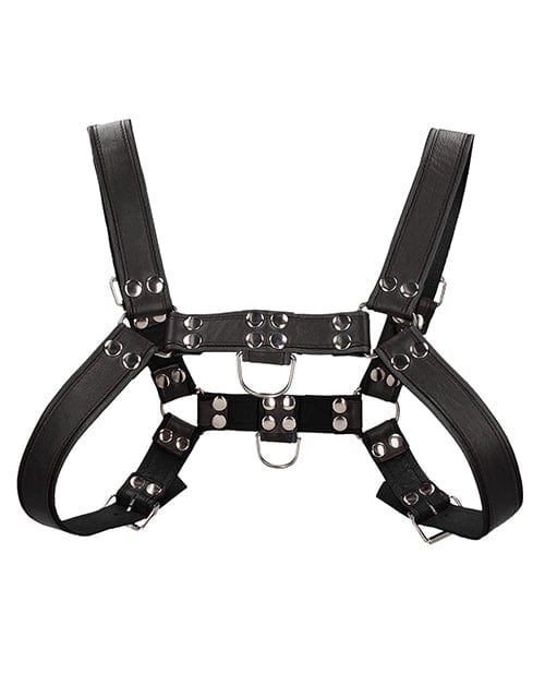 Shots America Shots Uomo Chest Bulldog Harness Small-medium - Black Kink &amp; BDSM