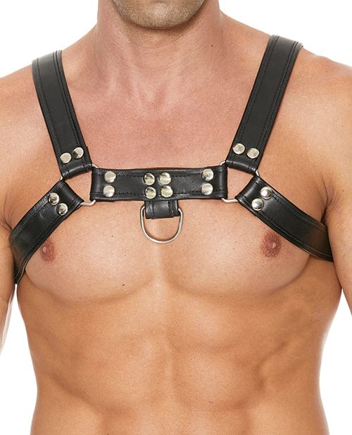 Shots America Shots Uomo Chest Bulldog Harness Small-medium - Black Kink &amp; BDSM
