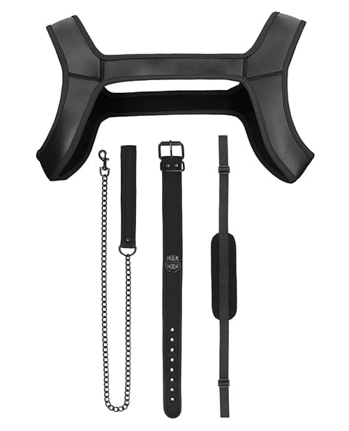 Shots America LLC Shots Ouch Puppy Play Complete Kit - Black Kink &amp; BDSM
