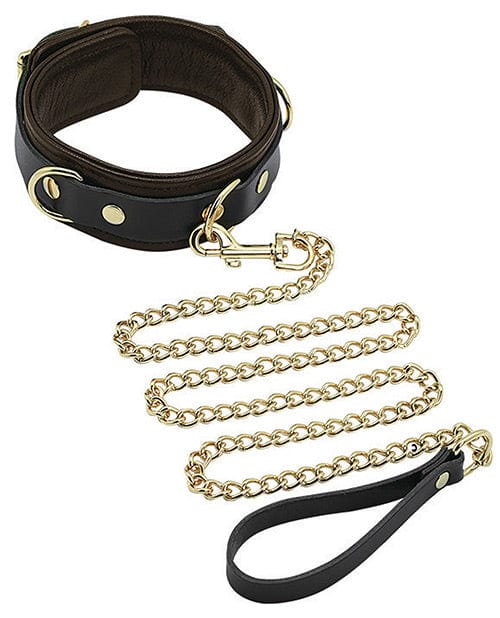 Spartacus Collar & Leash - Brown Leather with Gold Accent Hardware