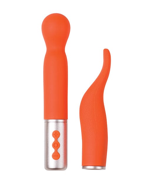 Buy The Naughty Collection Interchangeable Heads Vibrator - Bundle | Best  Price for Vibrators | OrchidToys.com