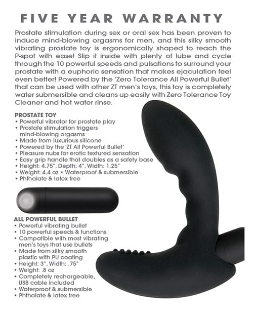 Zero Tolerance Zero Tolerance Eternal P Spot Anal Toys